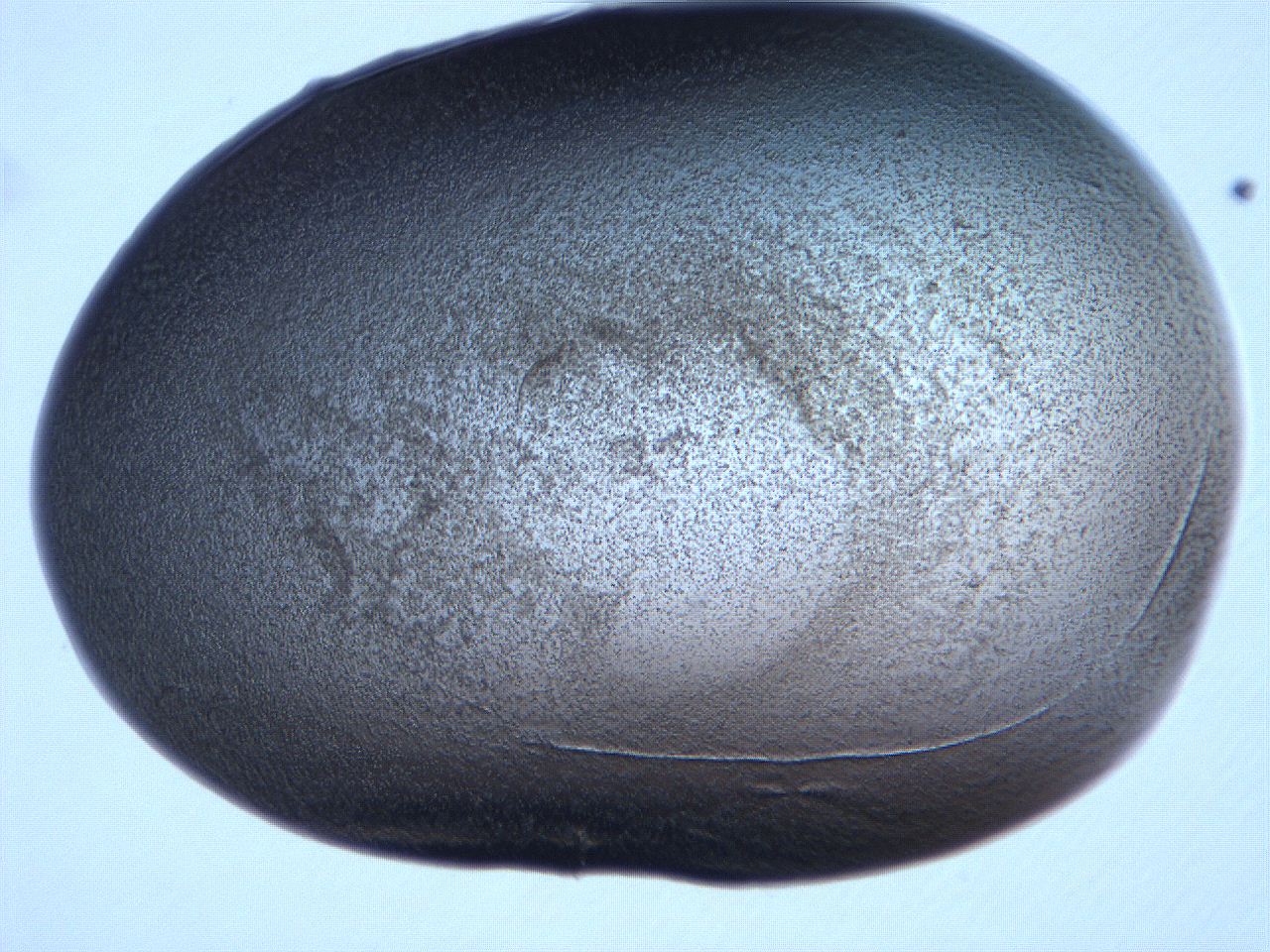 061h_A9_ImagerDefaults_3.jpg
