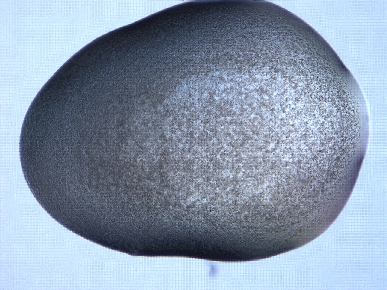 061h_A11_ImagerDefaults_3.jpg
