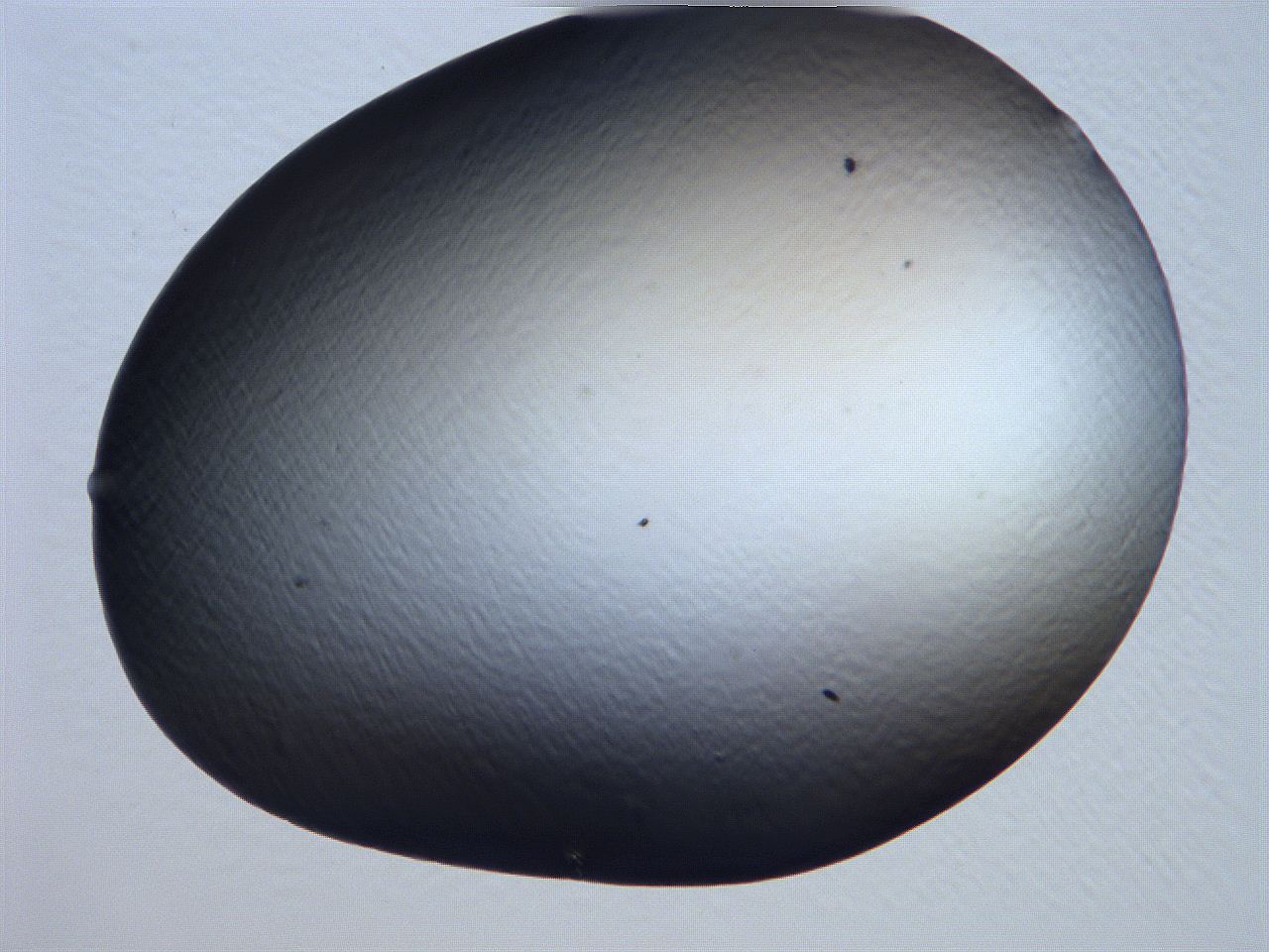 061h_B1_ImagerDefaults_0.jpg