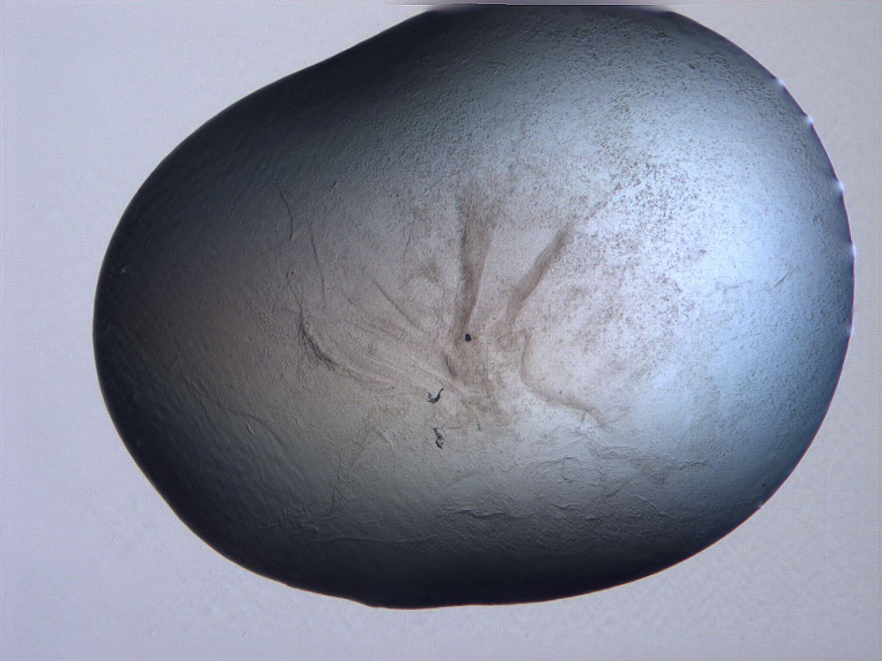 061h_B2_ImagerDefaults_3.jpg