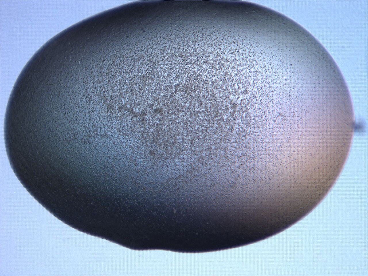 061h_B5_ImagerDefaults_3.jpg