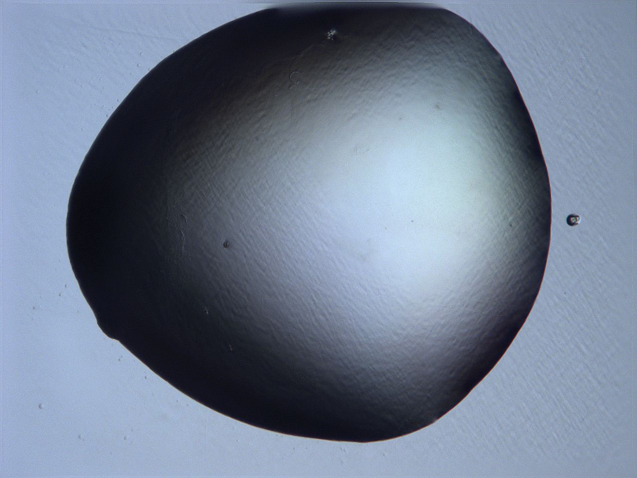 061h_B9_ImagerDefaults_0.jpg