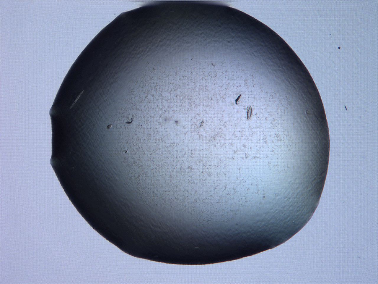061h_C2_ImagerDefaults_3.jpg
