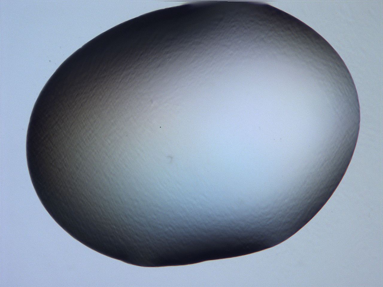 061h_C5_ImagerDefaults_0.jpg