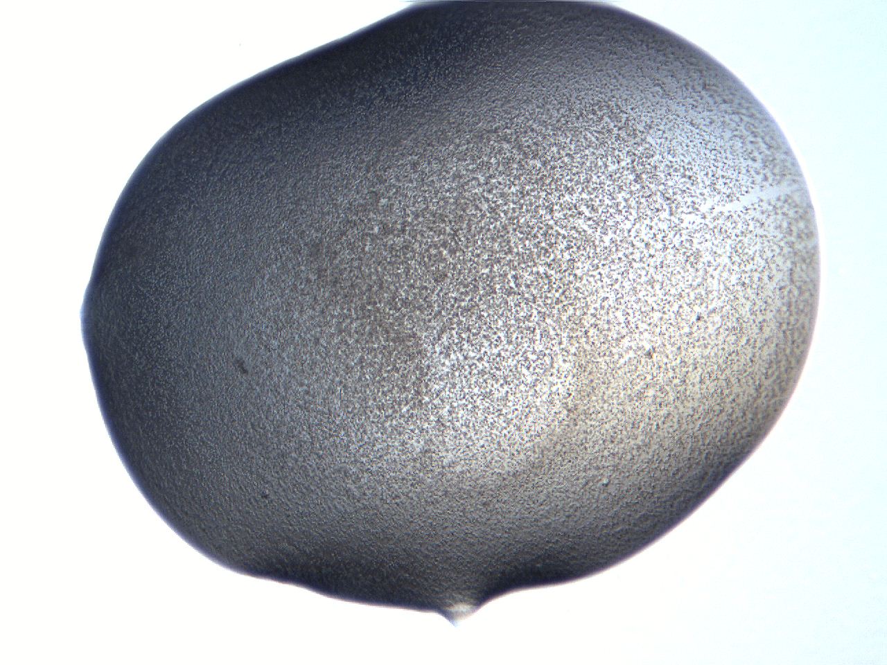 061h_C7_ImagerDefaults_3.jpg