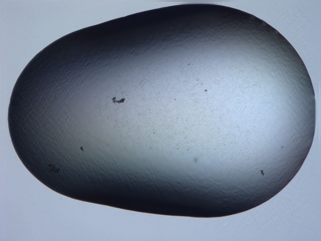 061h_D5_ImagerDefaults_0.jpg