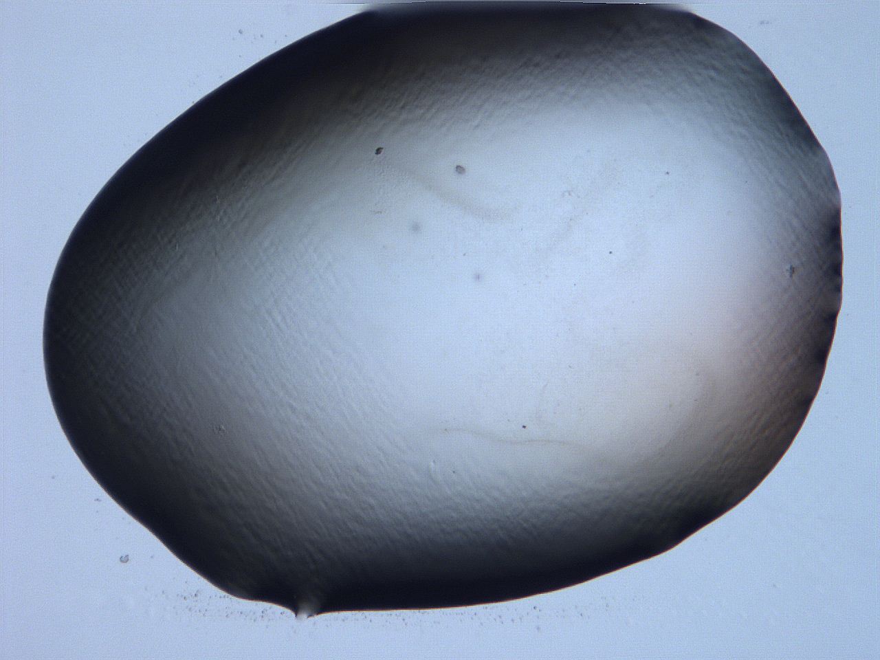 061h_D8_ImagerDefaults_0.jpg