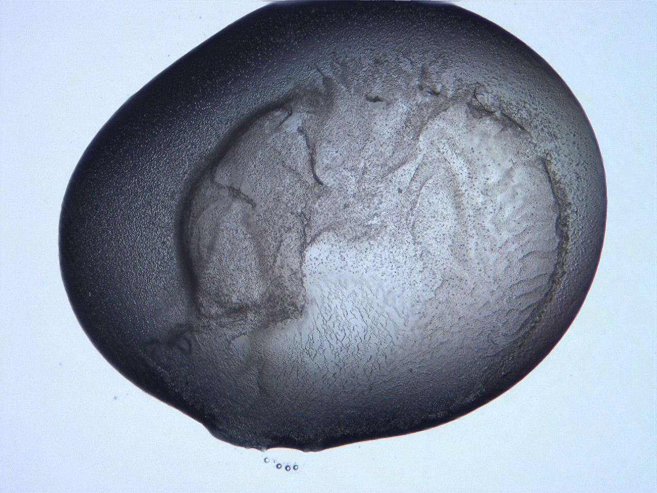 061h_D10_ImagerDefaults_3.jpg