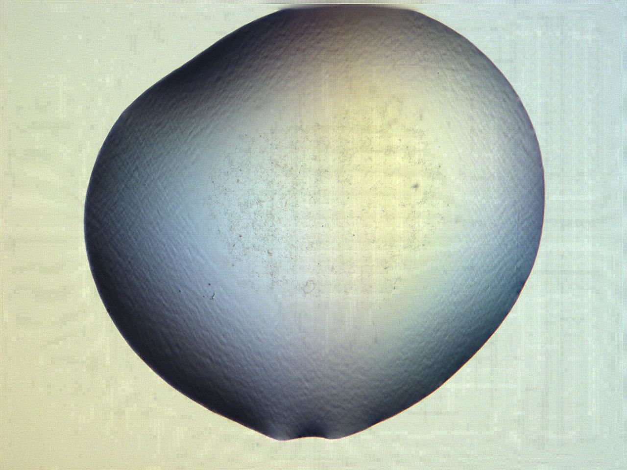 061h_E1_ImagerDefaults_0.jpg