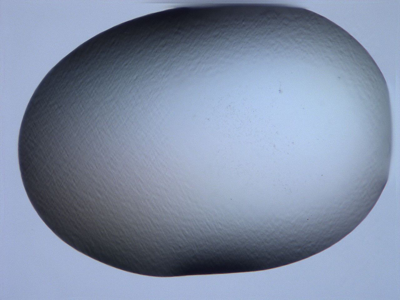061h_E8_ImagerDefaults_0.jpg