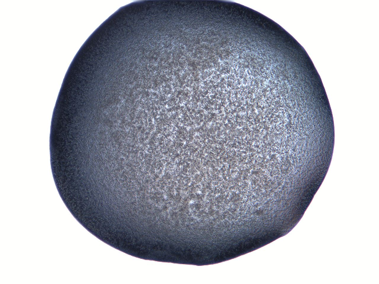 061h_E10_ImagerDefaults_3.jpg