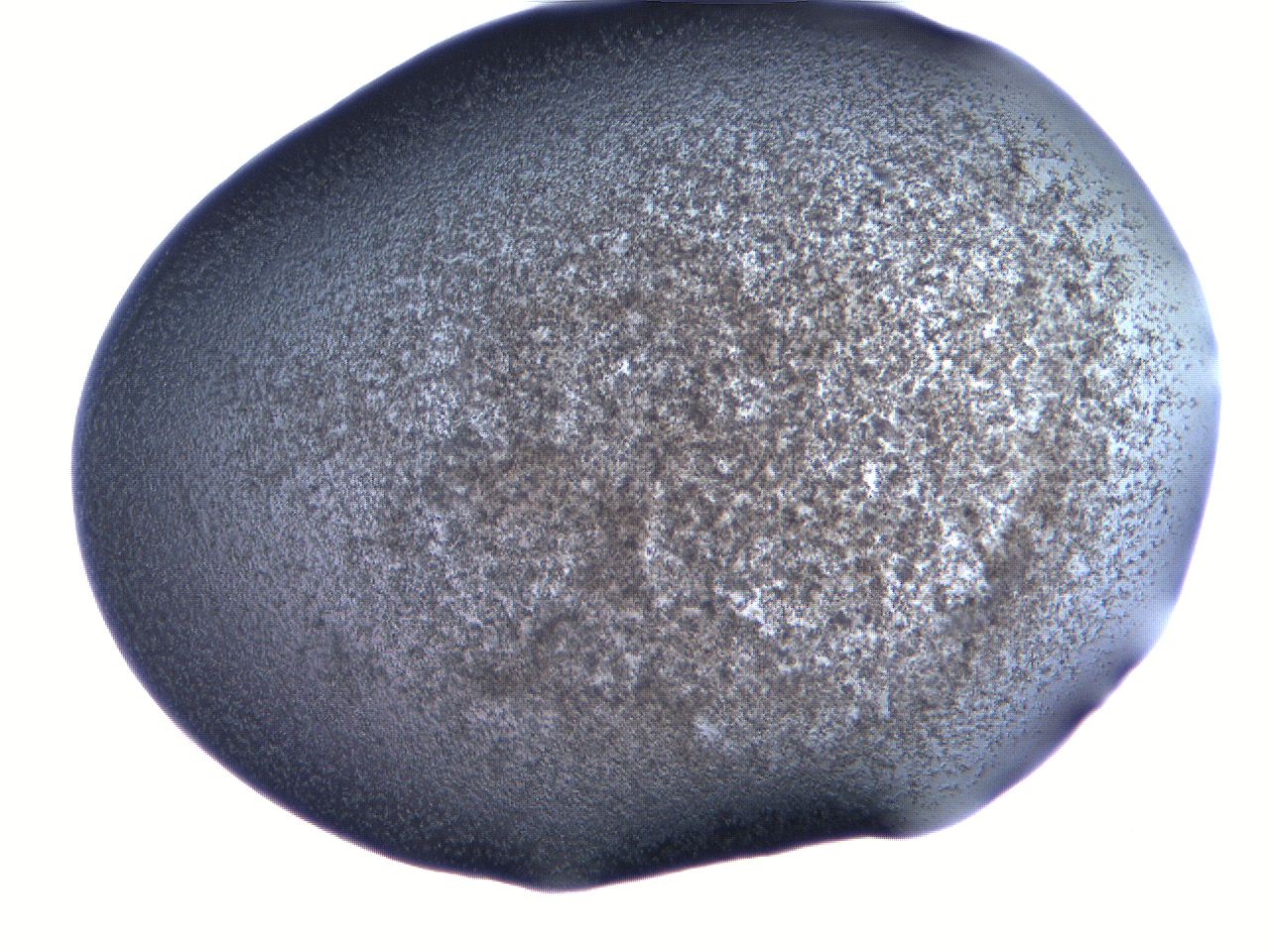 061h_E11_ImagerDefaults_3.jpg