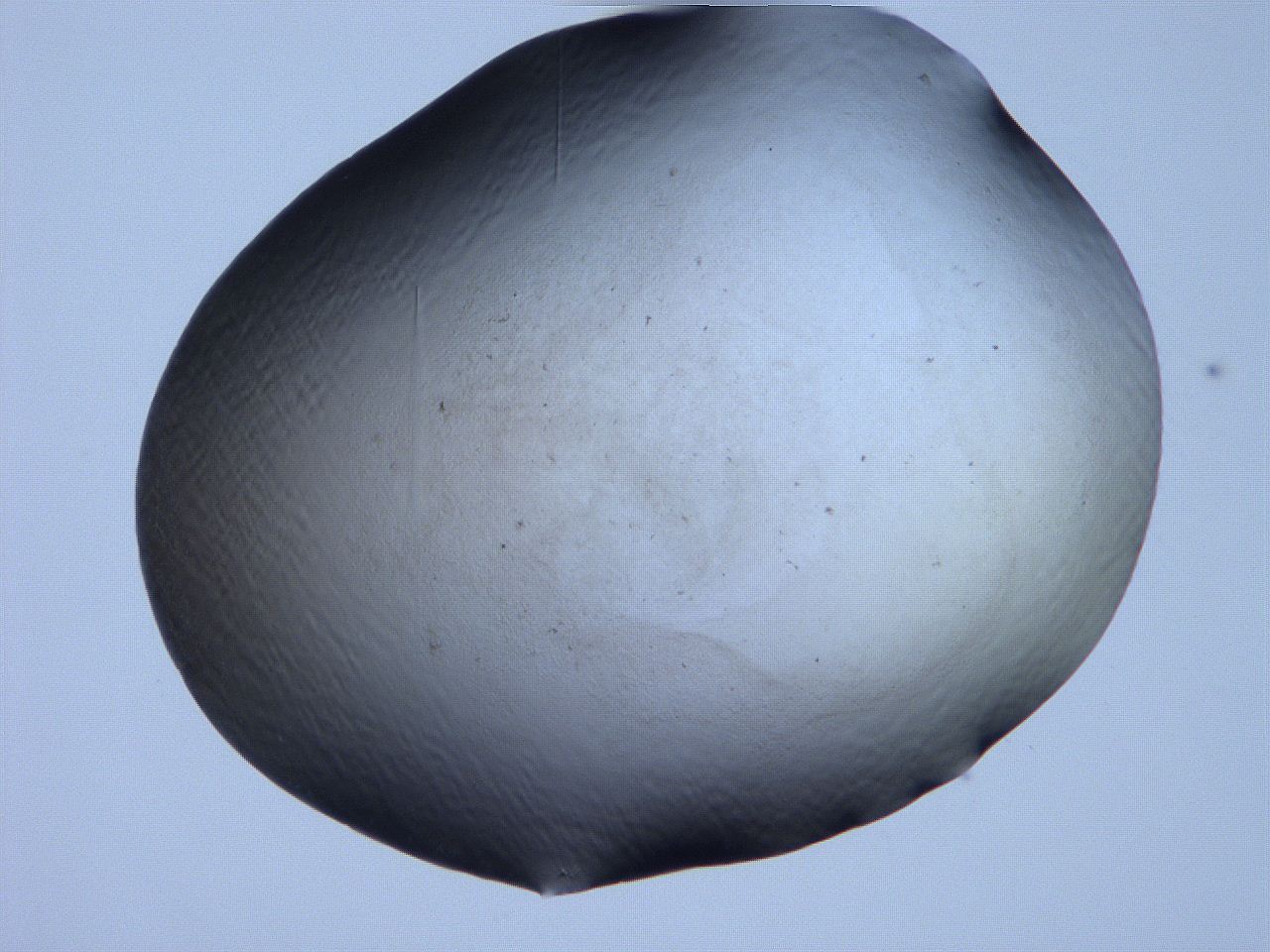 061h_G10_ImagerDefaults_0.jpg