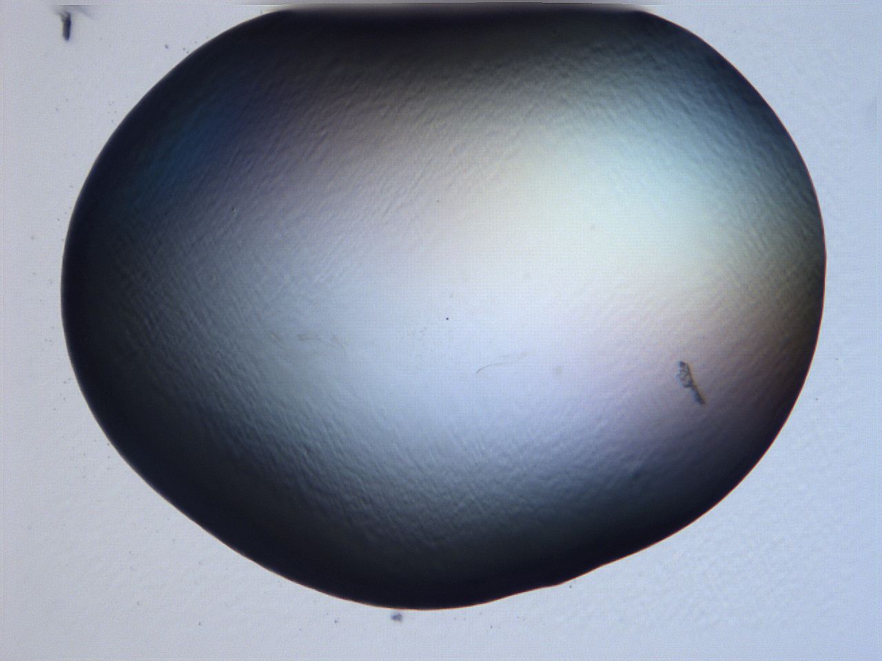 061h_H1_ImagerDefaults_0.jpg