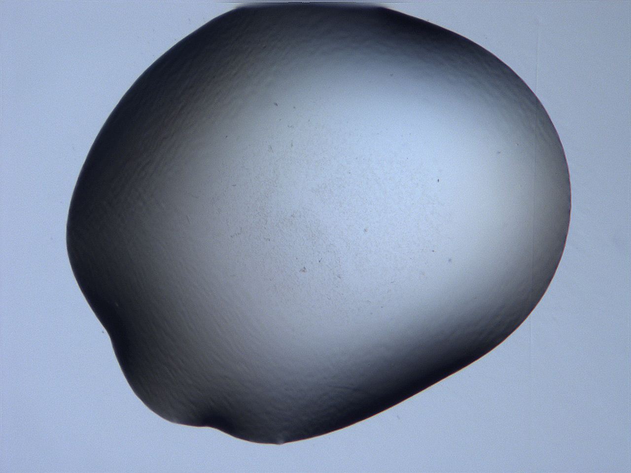 061h_H2_ImagerDefaults_0.jpg