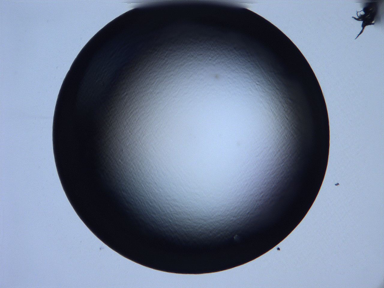 061h_H8_ImagerDefaults_0.jpg