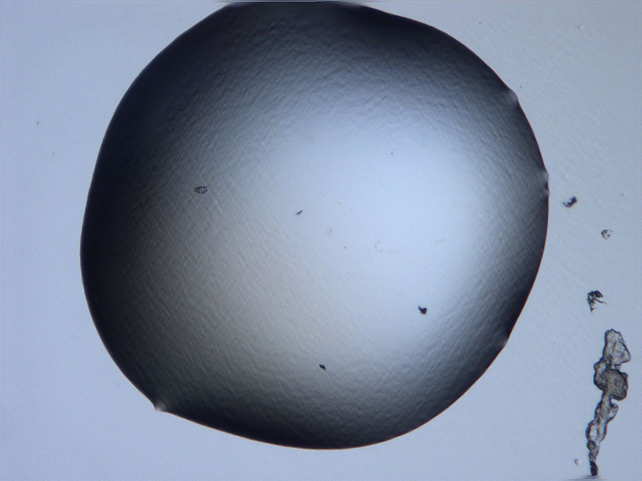 061h_H10_ImagerDefaults_0.jpg