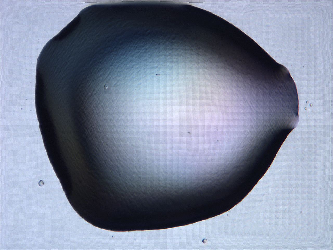 061h_H12_ImagerDefaults_0.jpg