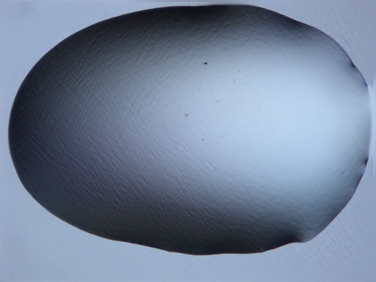 061i_A2_ImagerDefaults_0.jpg