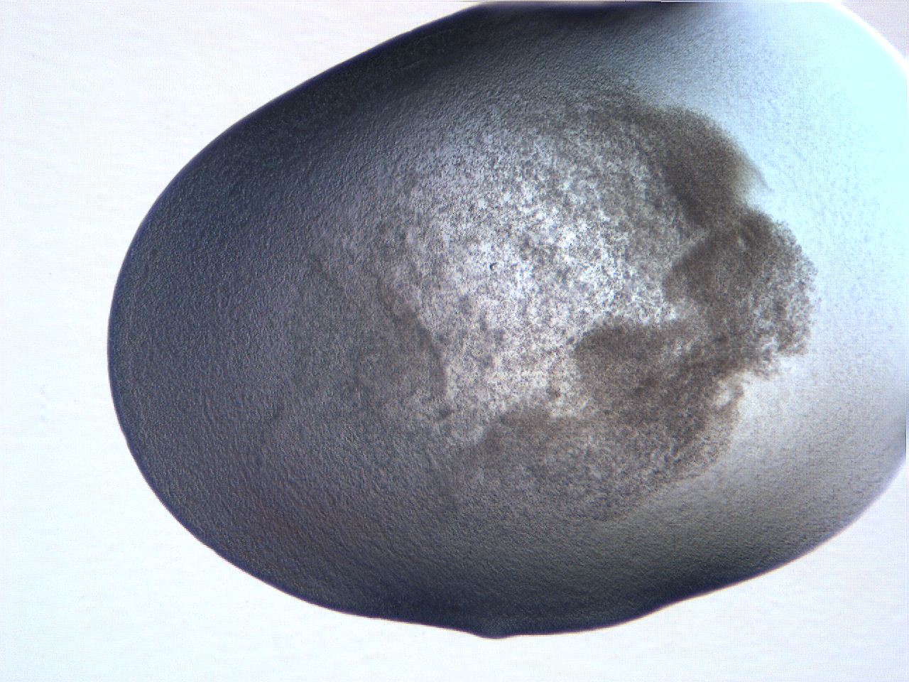 061i_A4_ImagerDefaults_3.jpg