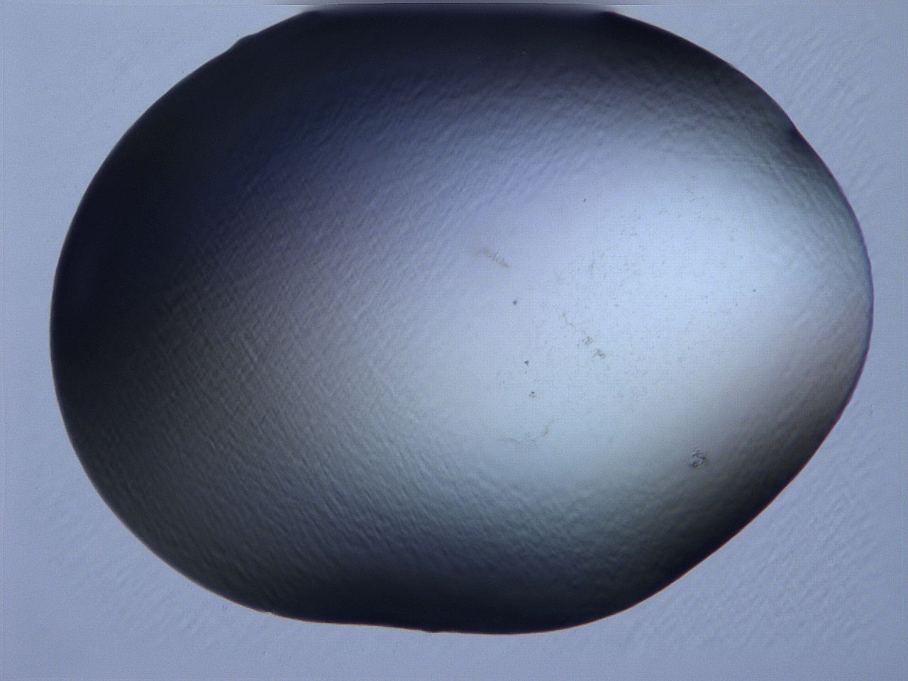 061i_A5_ImagerDefaults_0.jpg