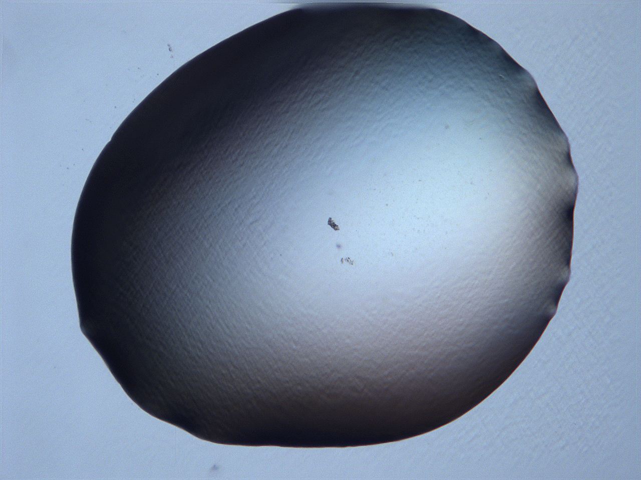 061i_A9_ImagerDefaults_0.jpg