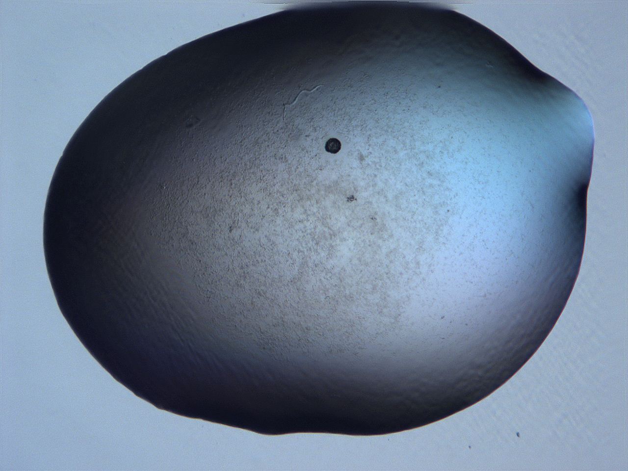 061i_A10_ImagerDefaults_3.jpg