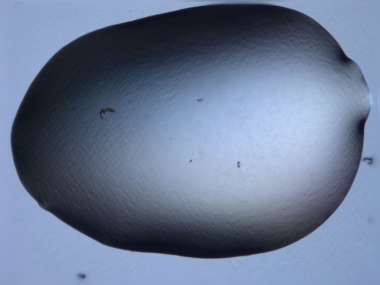 061i_A11_ImagerDefaults_0.jpg