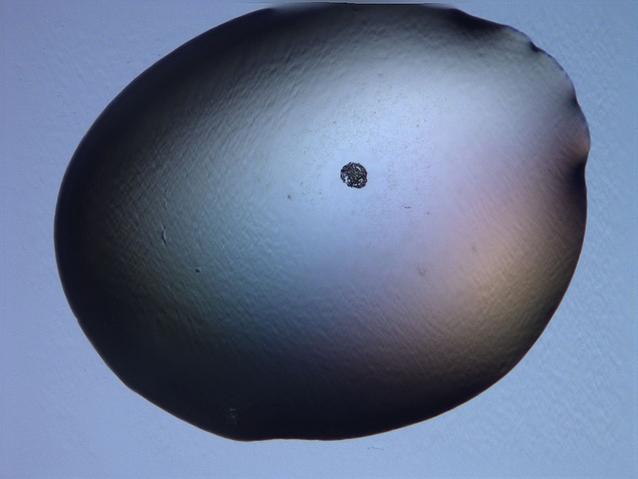 061i_B5_ImagerDefaults_0.jpg