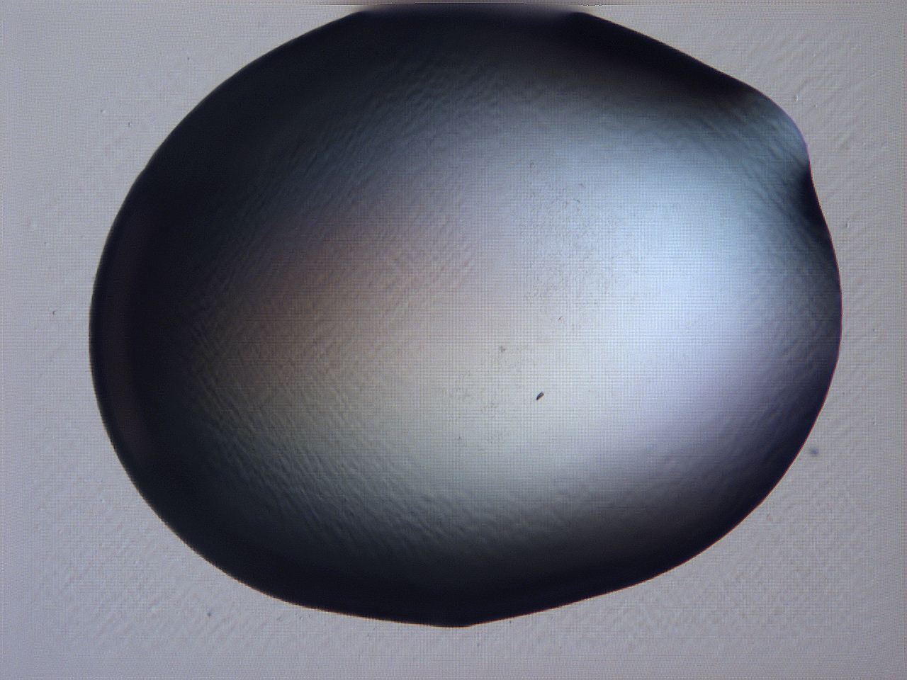 061i_B8_ImagerDefaults_0.jpg