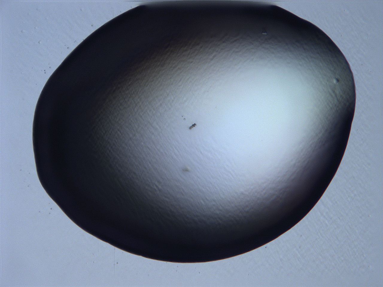 061i_B9_ImagerDefaults_0.jpg