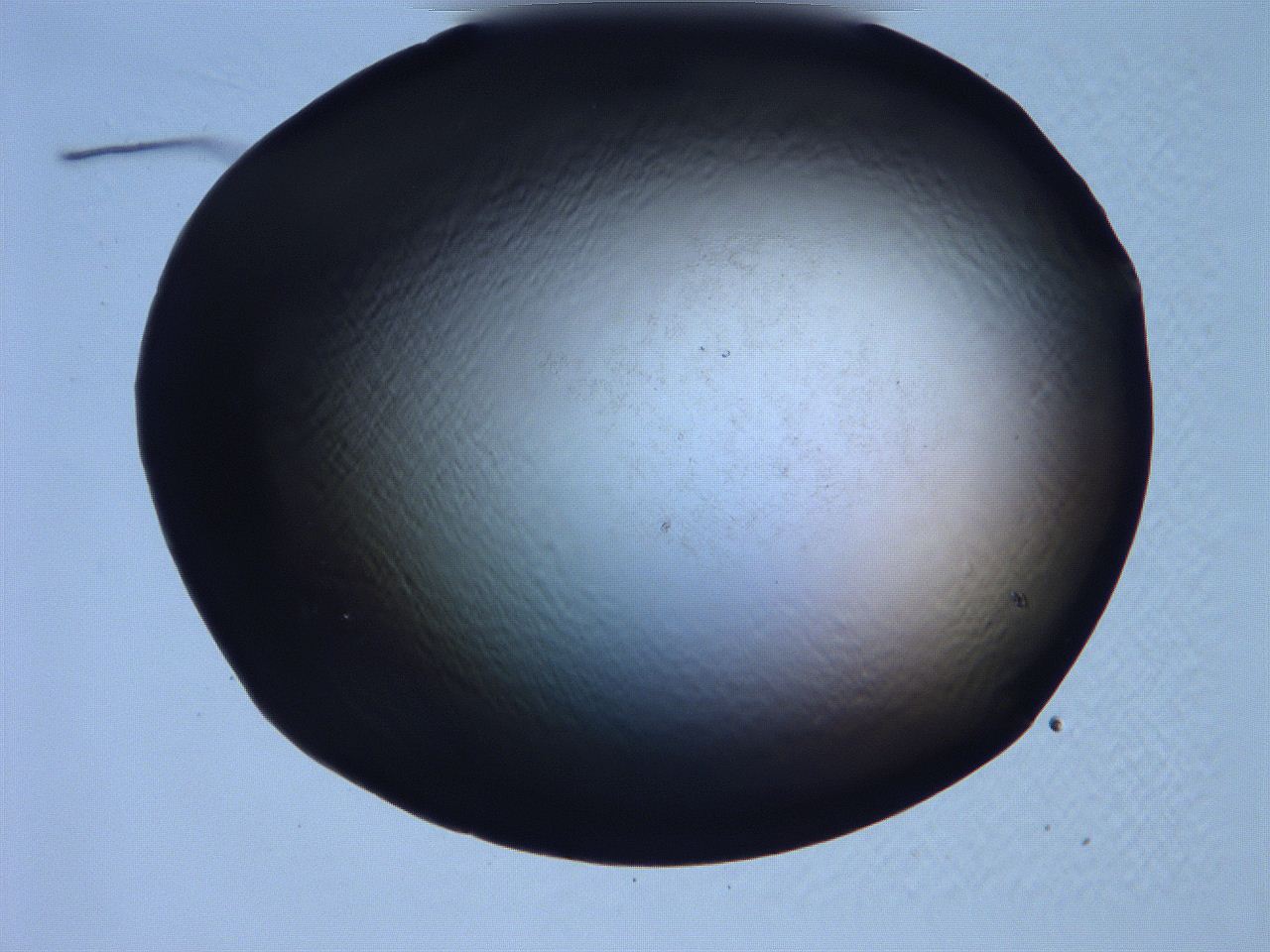 061i_B11_ImagerDefaults_0.jpg