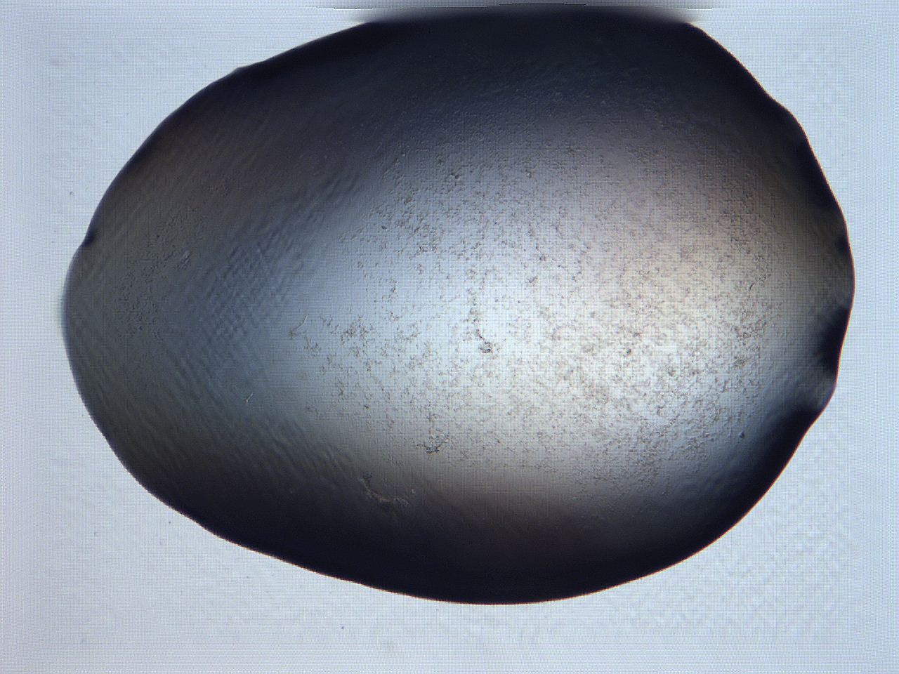 061i_B12_ImagerDefaults_3.jpg
