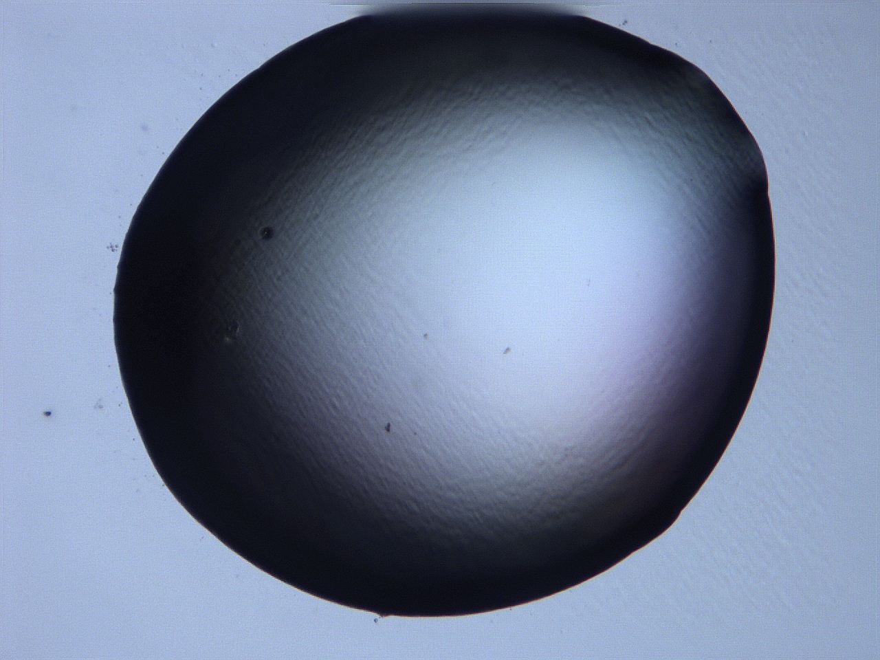 061i_C3_ImagerDefaults_0.jpg