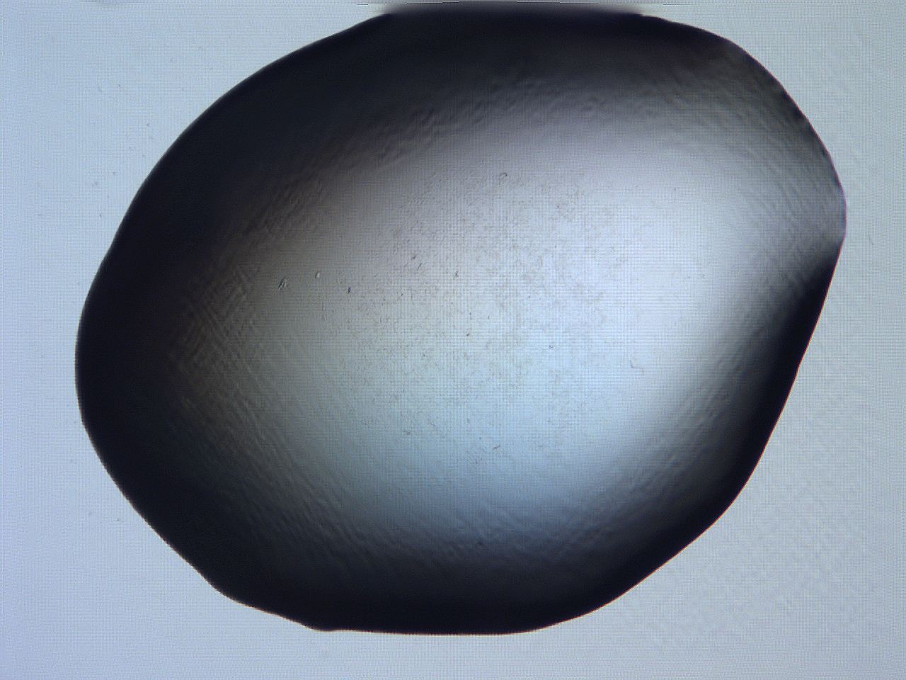 061i_C5_ImagerDefaults_0.jpg