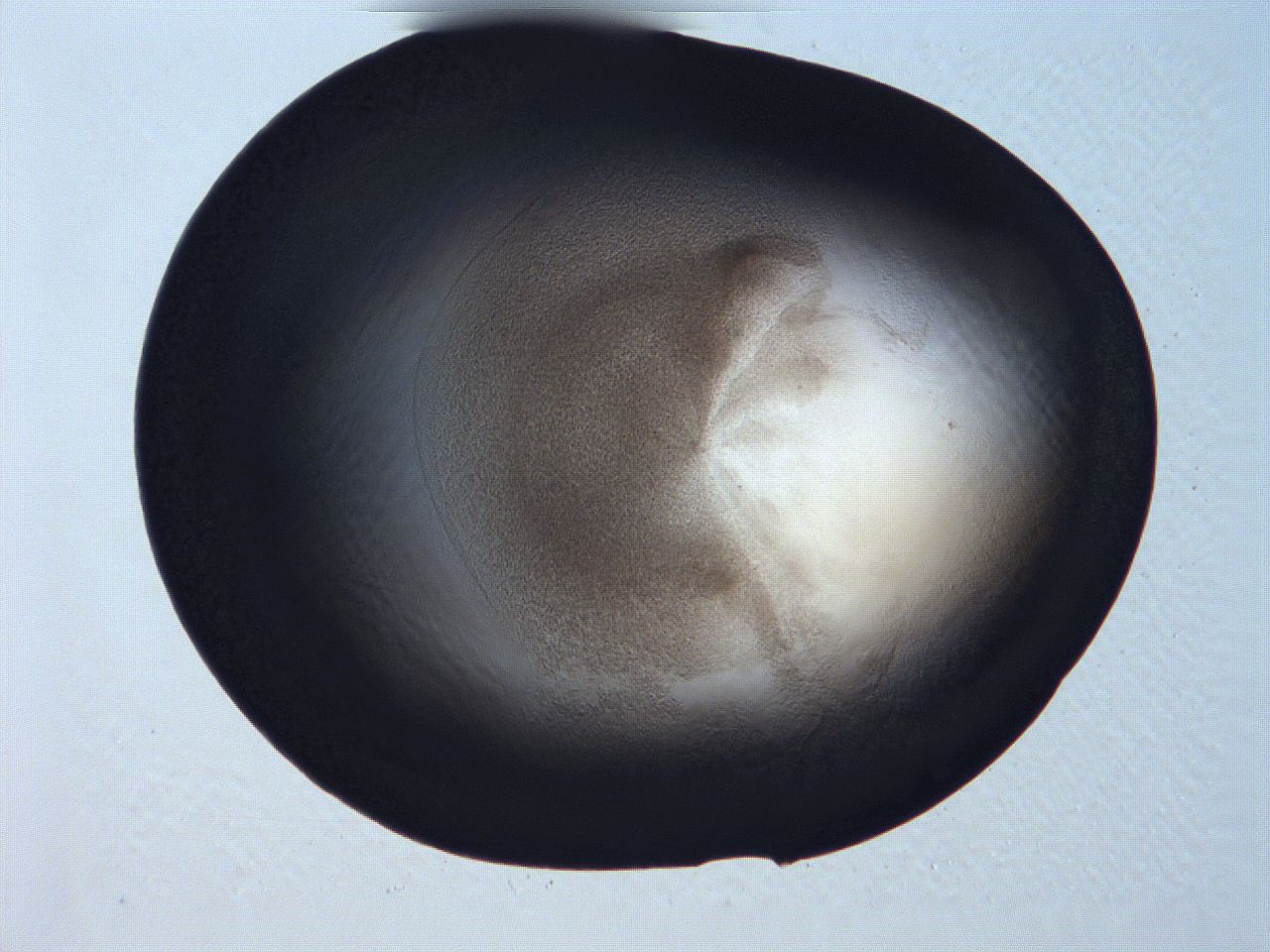 061i_C7_ImagerDefaults_3.jpg