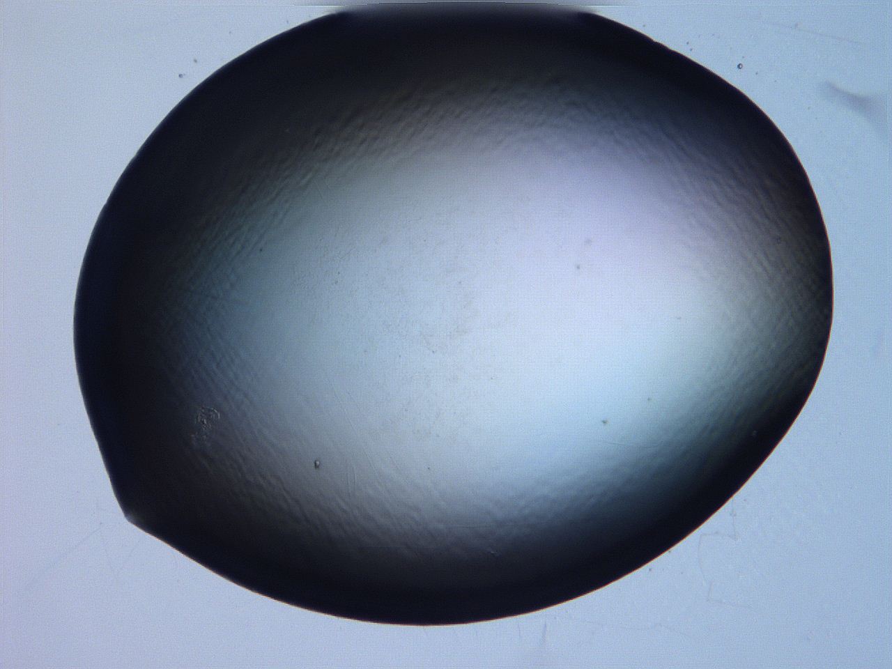 061i_C8_ImagerDefaults_0.jpg