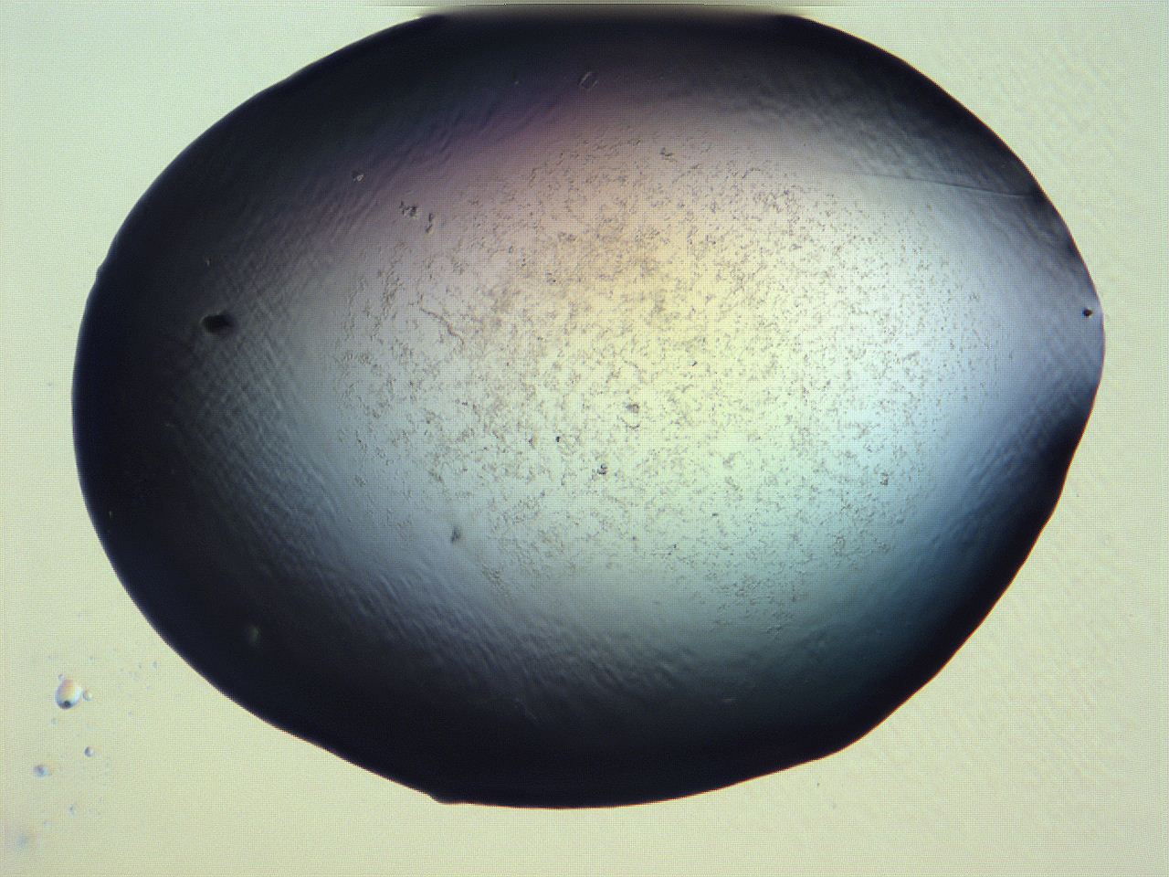 061i_D1_ImagerDefaults_3.jpg