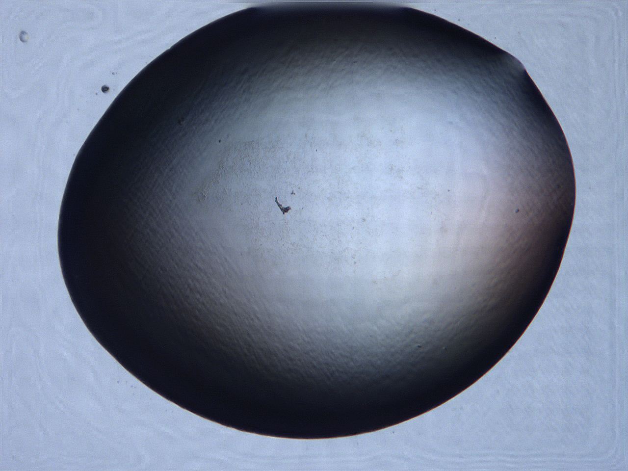 061i_D2_ImagerDefaults_0.jpg