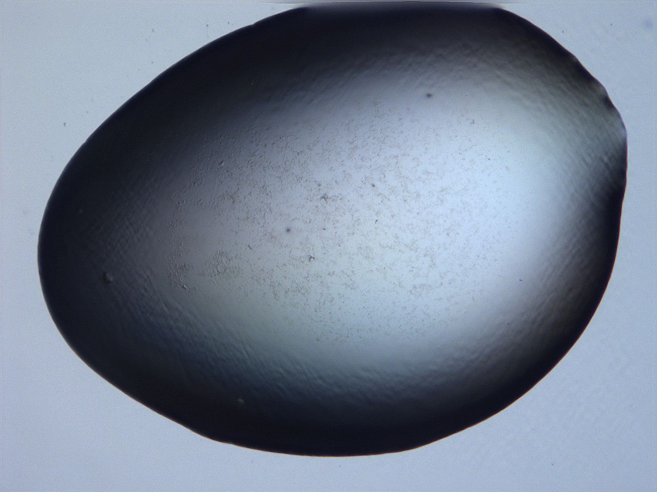 061i_D5_ImagerDefaults_3.jpg