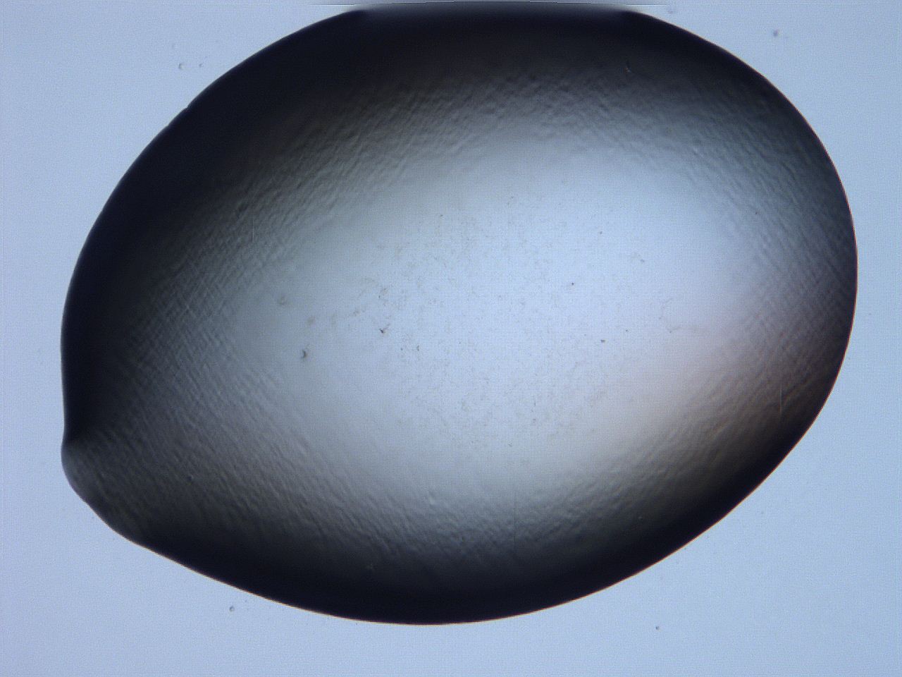 061i_D8_ImagerDefaults_0.jpg