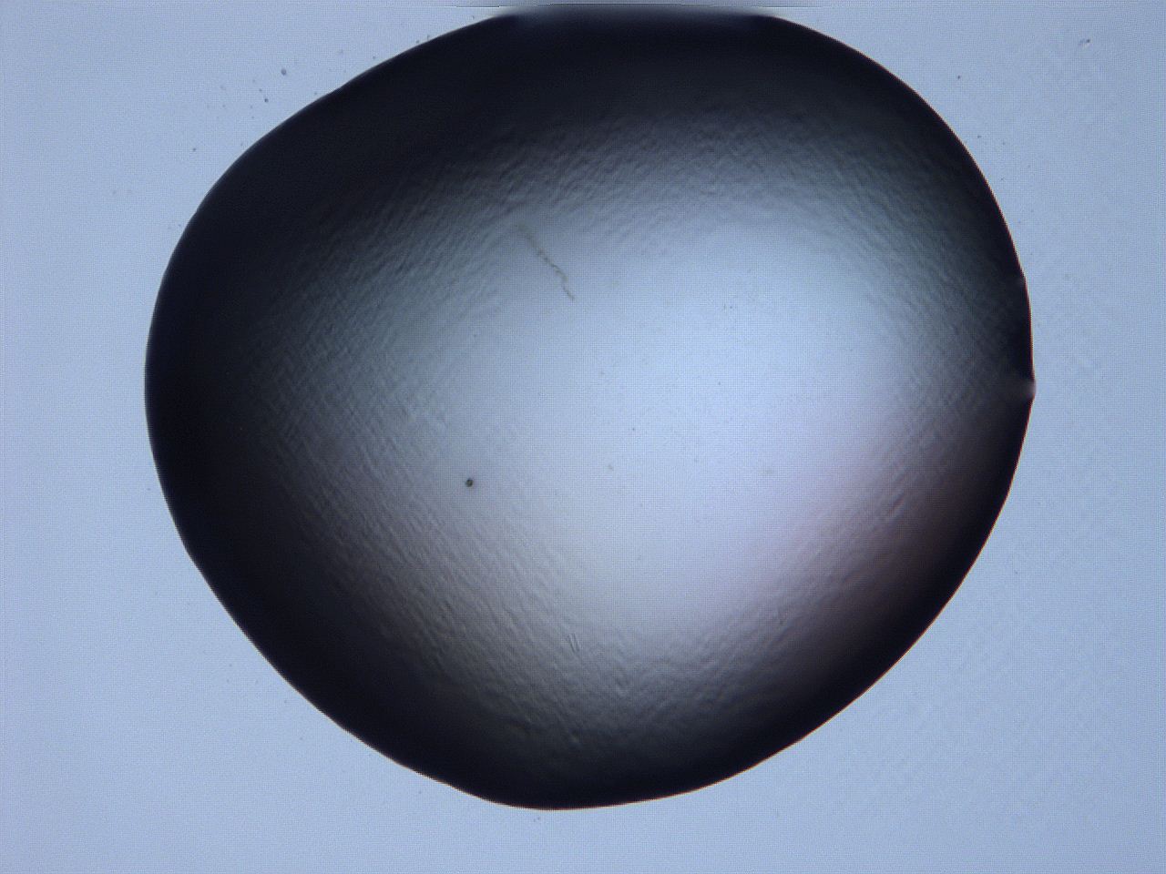 061i_D9_ImagerDefaults_0.jpg