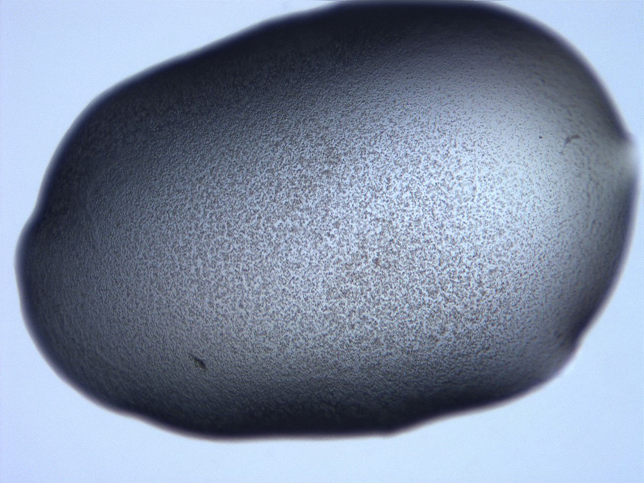 061i_D10_ImagerDefaults_3.jpg