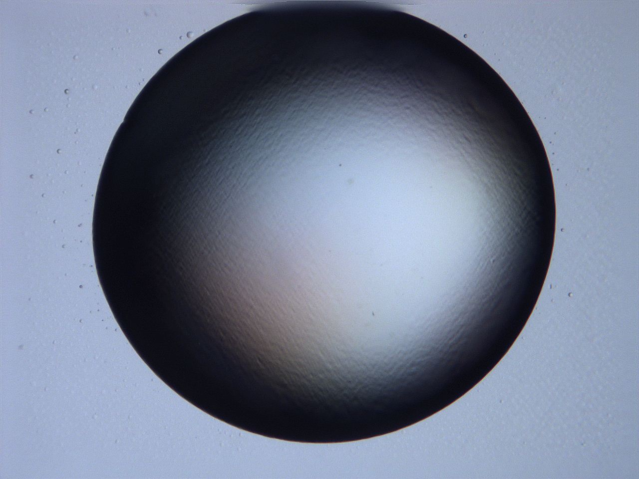 061i_D11_ImagerDefaults_0.jpg