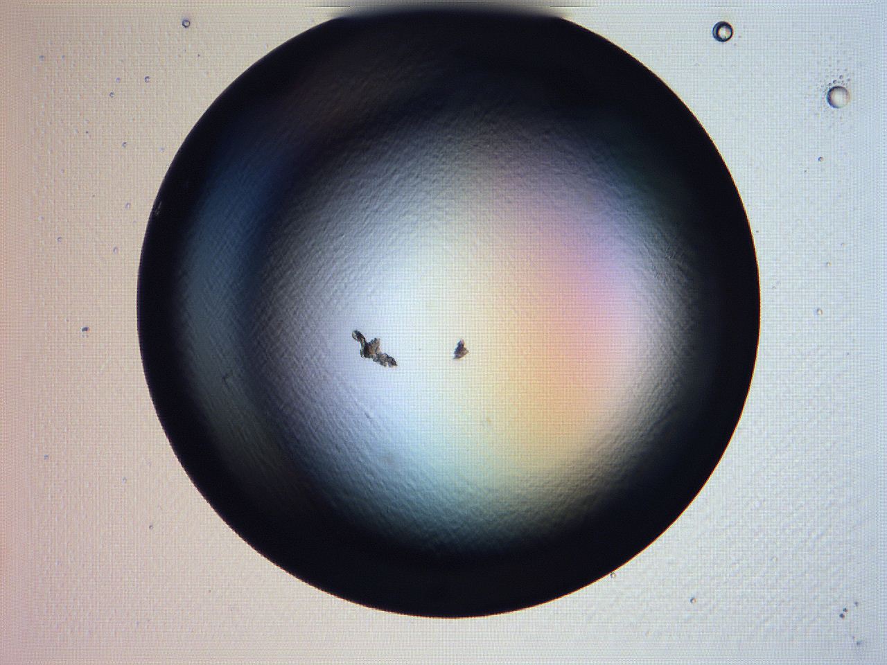 061i_D12_ImagerDefaults_0.jpg