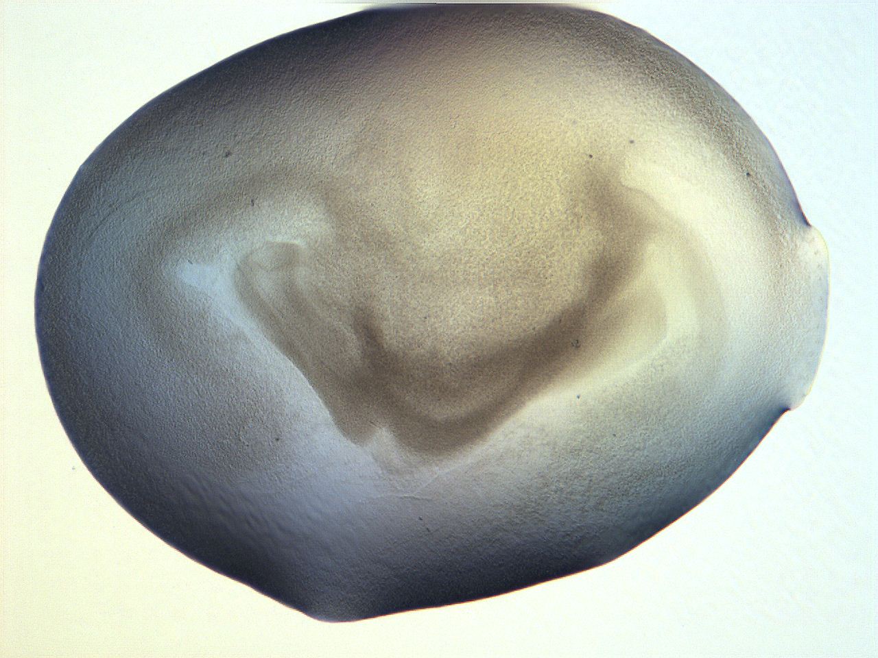 061i_E1_ImagerDefaults_3.jpg