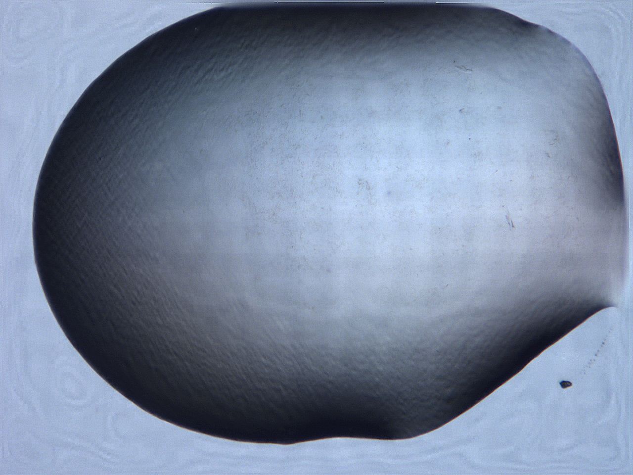 061i_E2_ImagerDefaults_0.jpg
