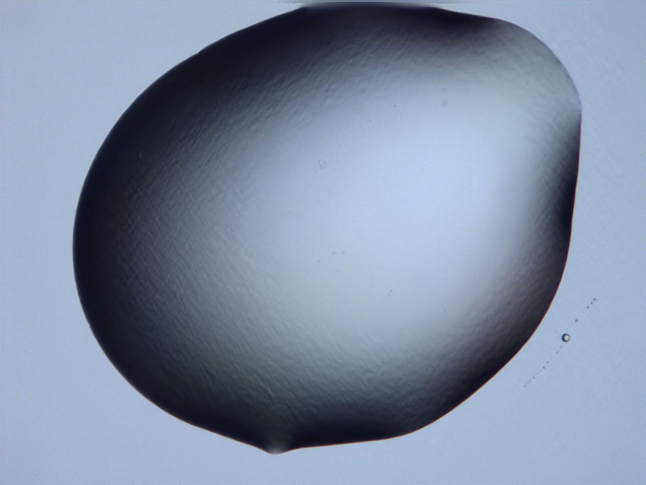 061i_E5_ImagerDefaults_0.jpg