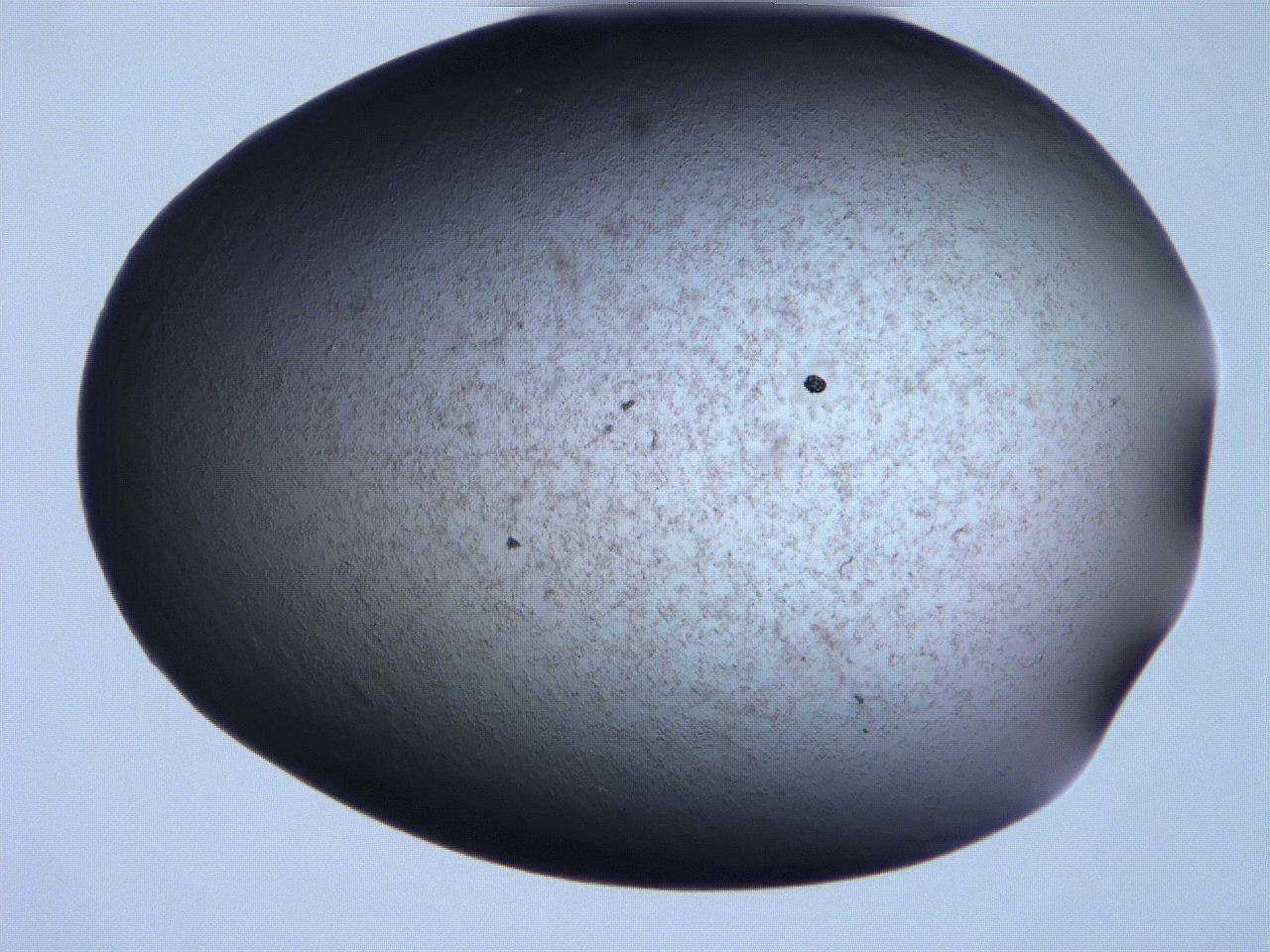 061i_E6_ImagerDefaults_3.jpg