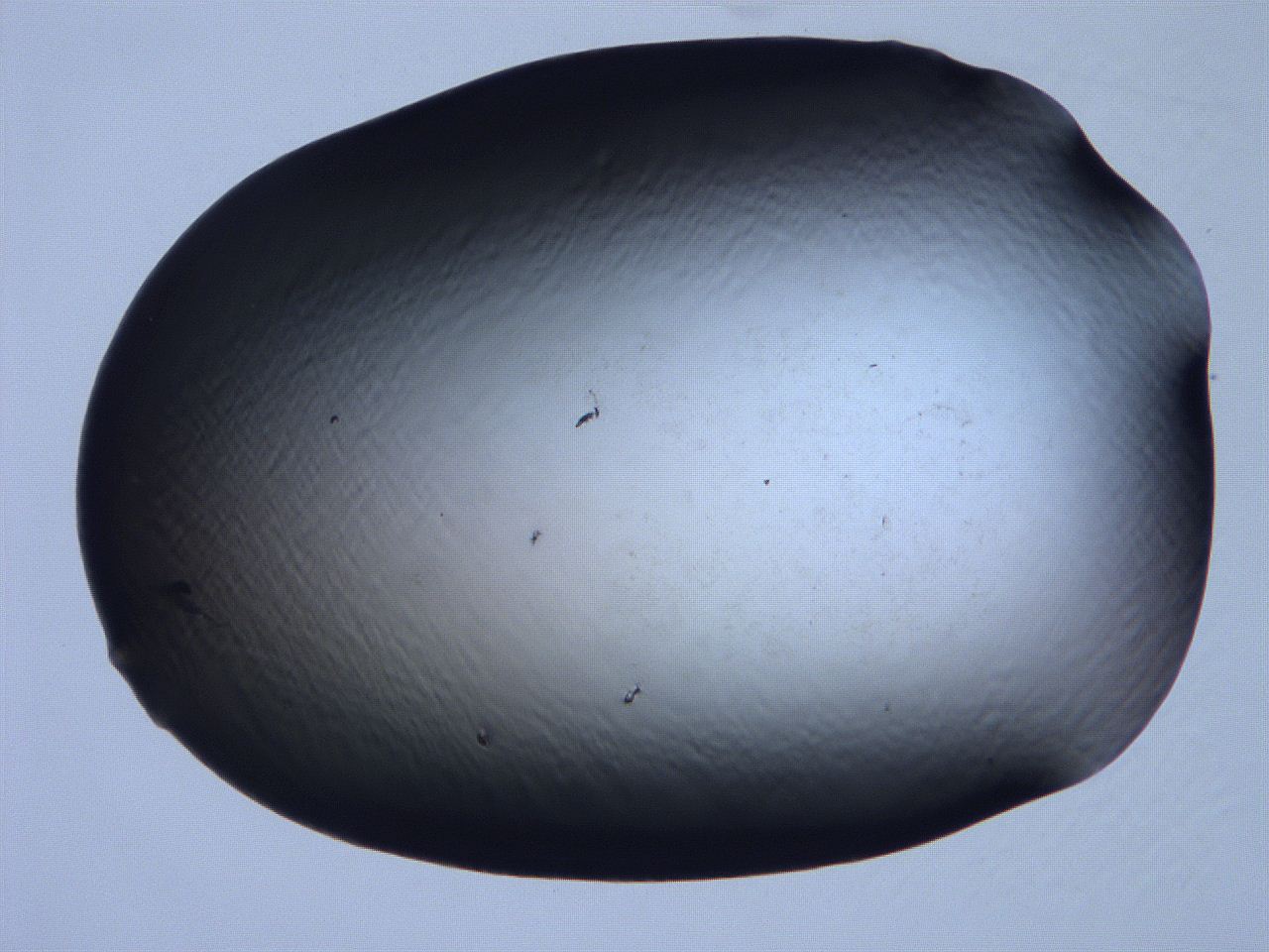 061i_E7_ImagerDefaults_0.jpg